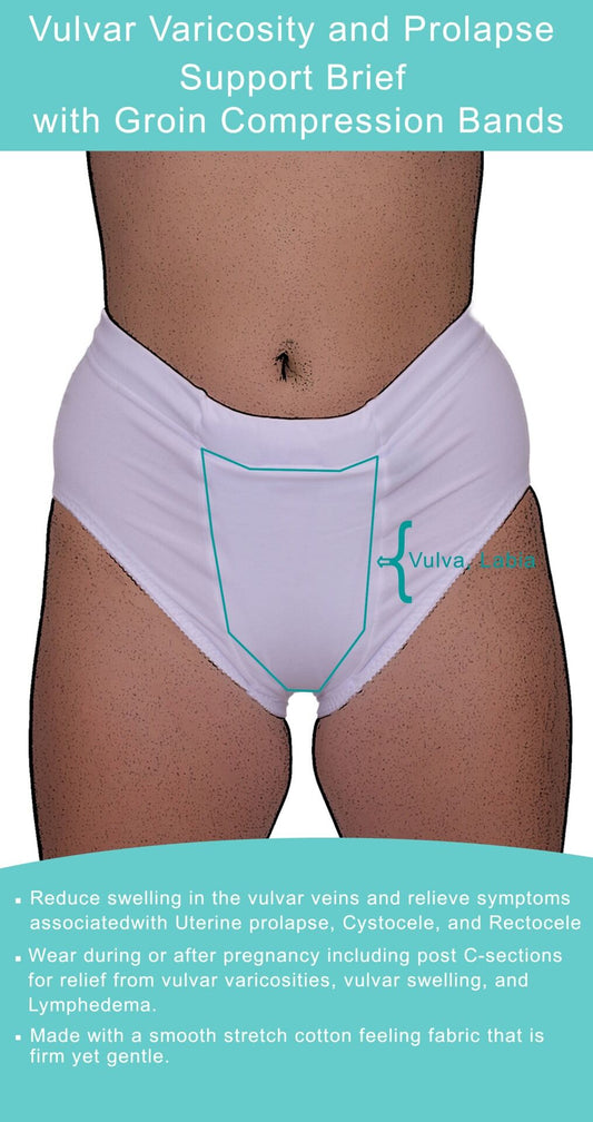 Vulvar Varicosity and Prolapse Support Brief with Groin Compression Bands